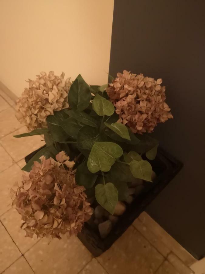 Apartman Mera Apartment